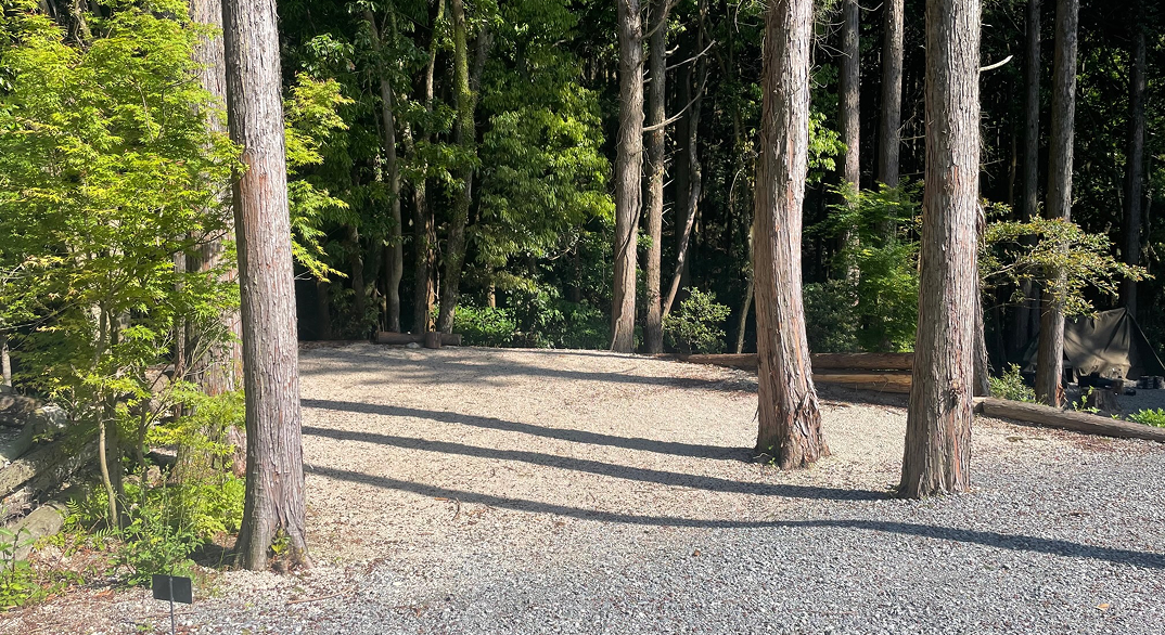 しげるの森の写真